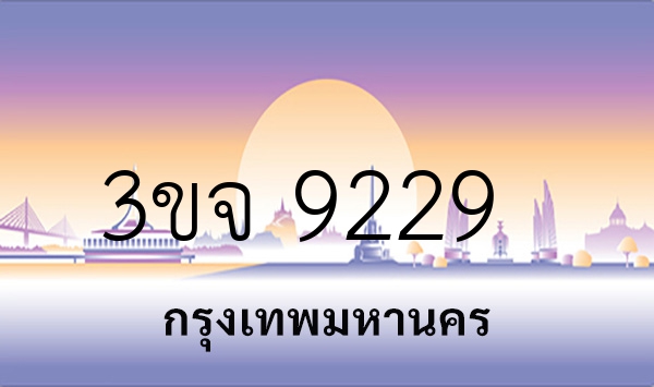 3ขจ 9229
